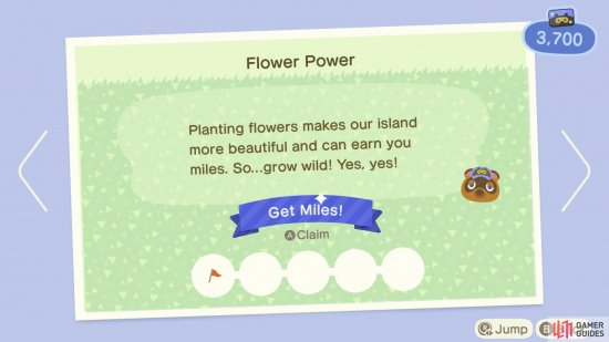 Plant flowers by buying seeds from Timmy