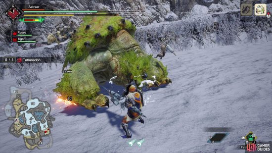 Tetranadon will appear to bury its head in the ground to eat