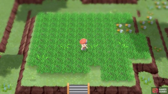 Each time you use the Poké Radar, 4 shaking grass tiles will appear.