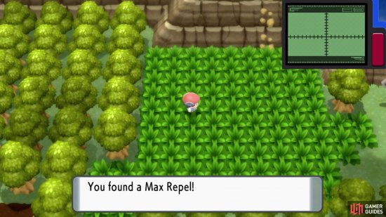 Hidden Max Repel.