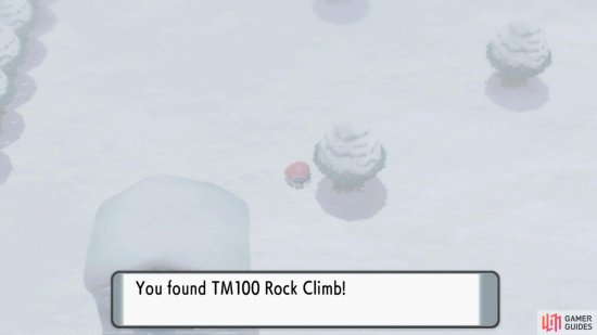 TM100 Rock Climb.