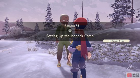 Request 78: Setting Up the Icepeak Camp.