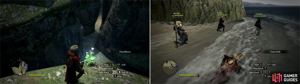 Exploring the Verda Woodlands - Chapter 2 - The Wyrm Hunt