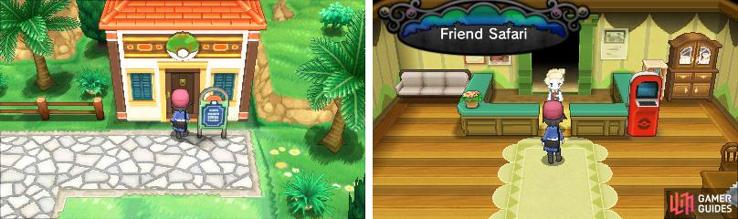 how does friend safari work pokemon x