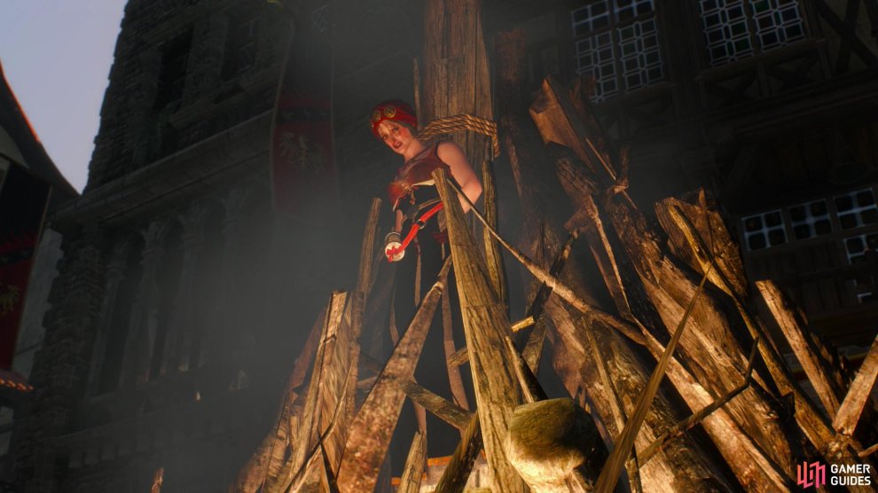 The Witcher 3 Wild Hunt Gamer Guides