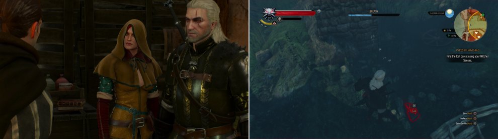 The Witcher 3 Wild Hunt Gamer Guides