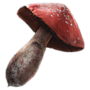 Map category icon