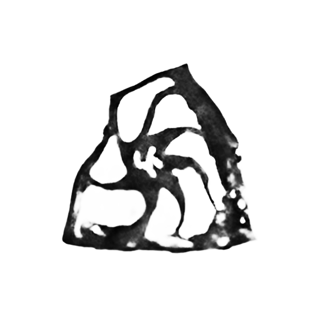 Map category icon