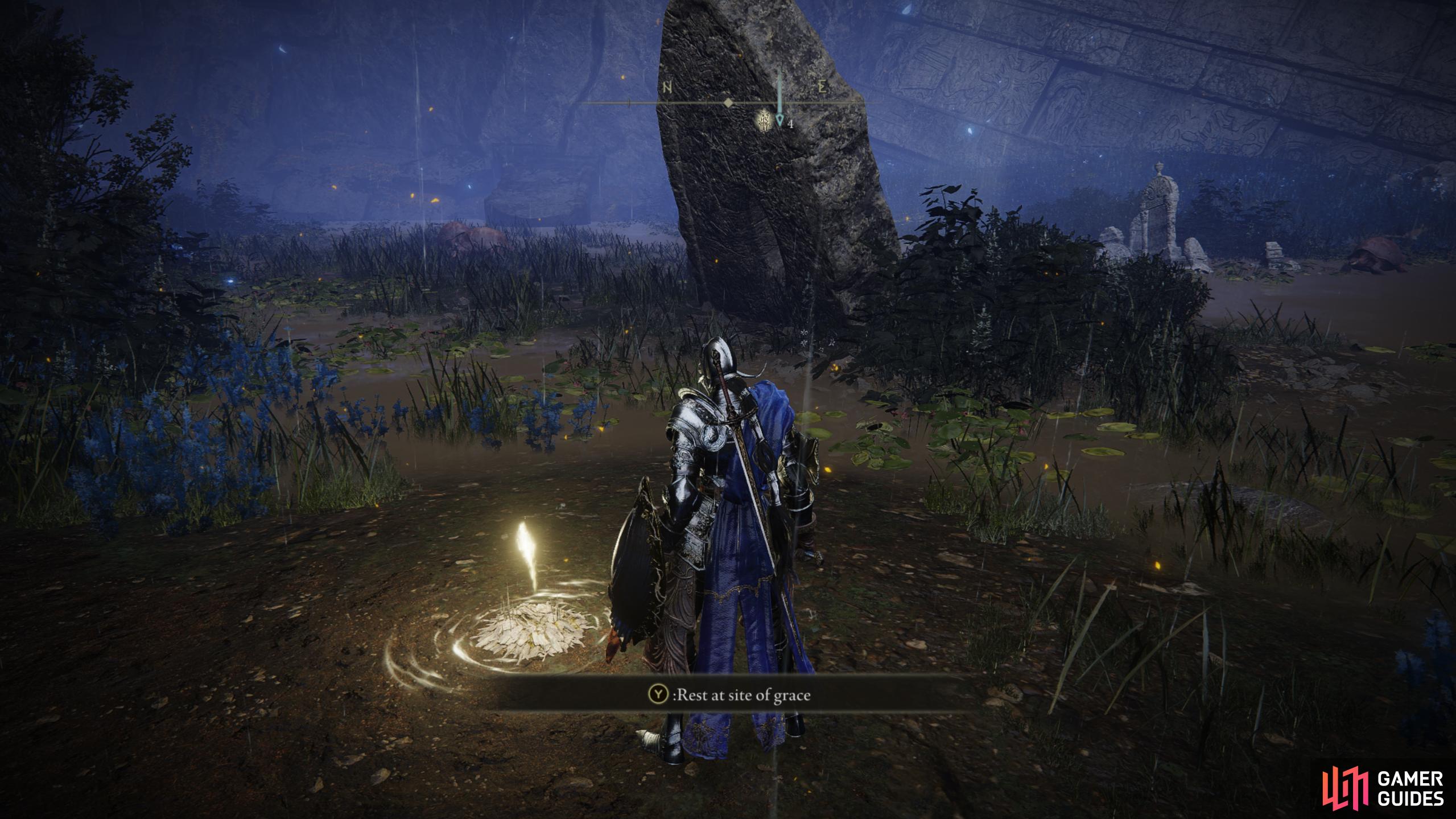 Cerulean Coast West Elden Ring Shadow of the Erdtree Database