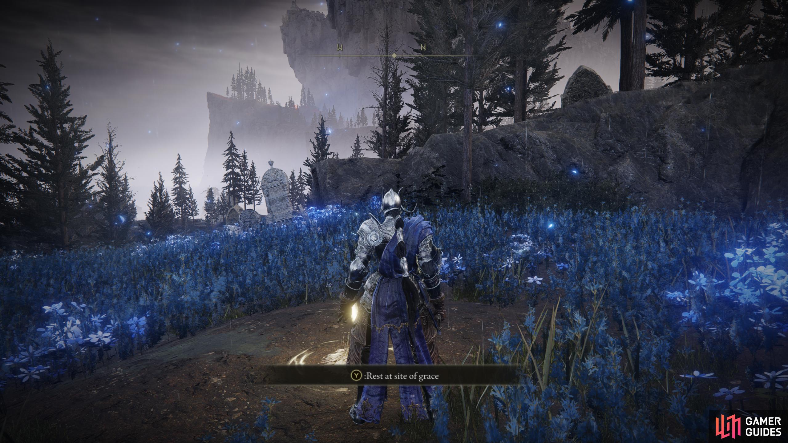 Cerulean Coast Cross Elden Ring Shadow of the Erdtree Database