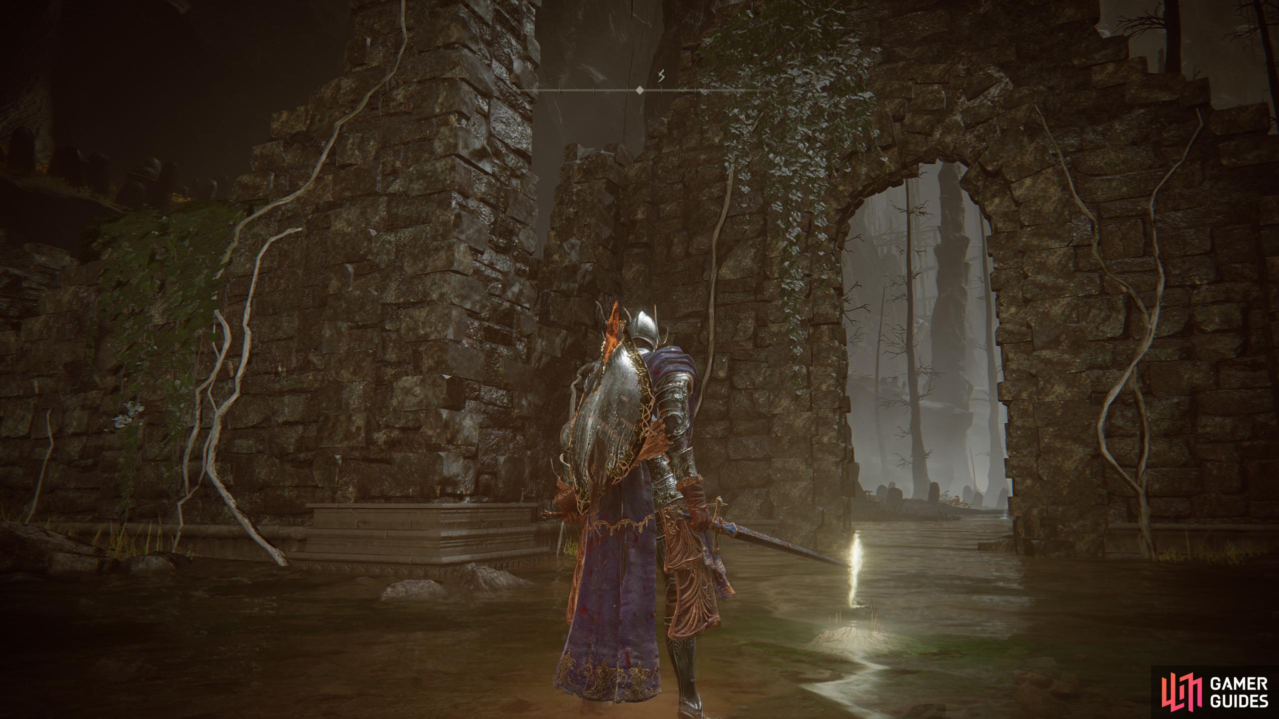 Forsaken Graveyard Elden Ring Shadow of the Erdtree Database Gamer