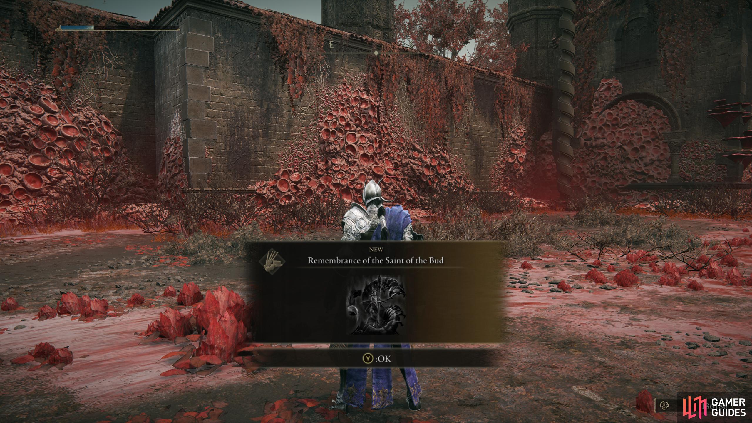 Remembrance of the Saint of the Bud Elden Ring Shadow of the Erdtree