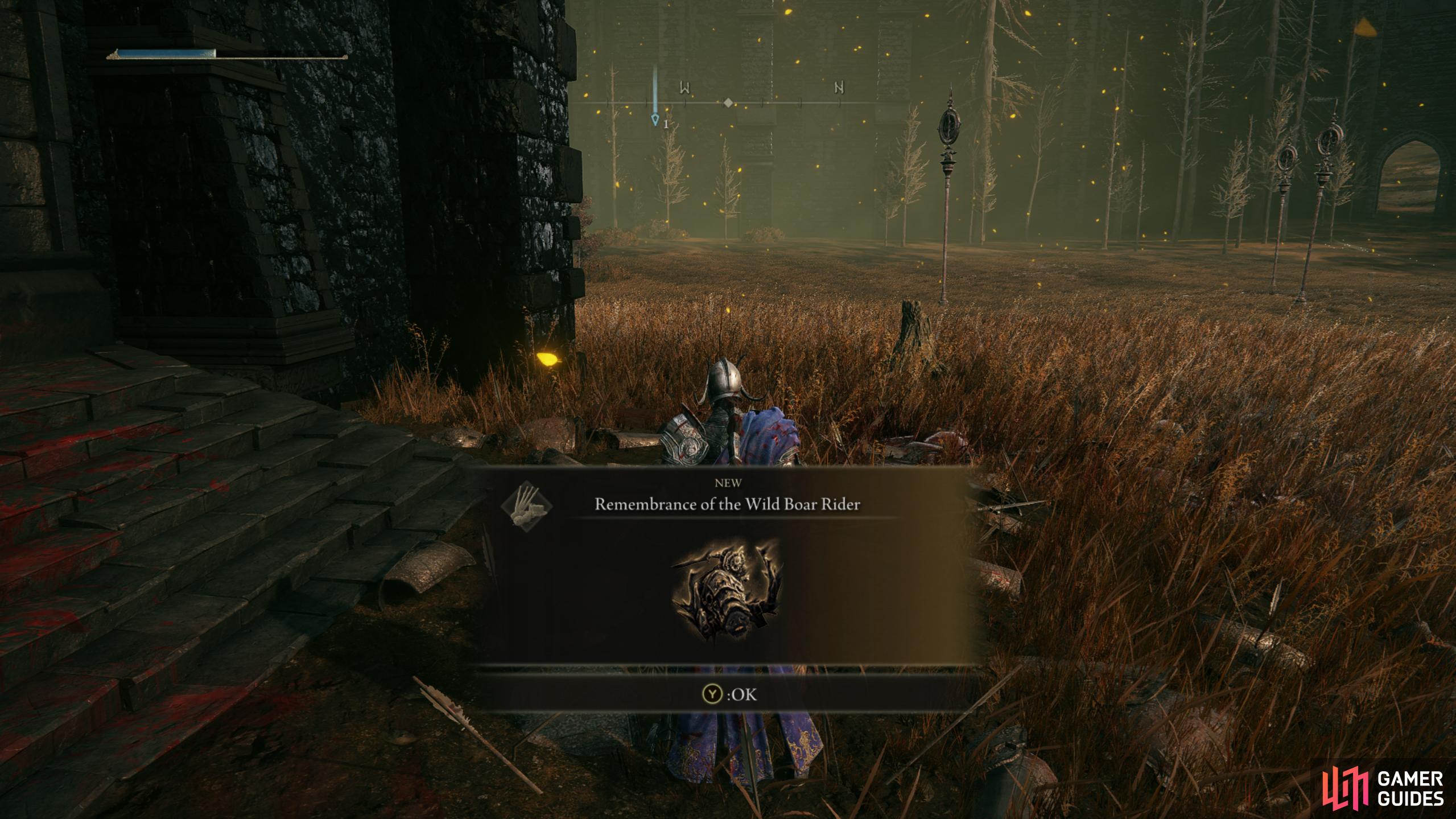 Remembrance of the Wild Boar Rider Elden Ring Shadow of the Erdtree