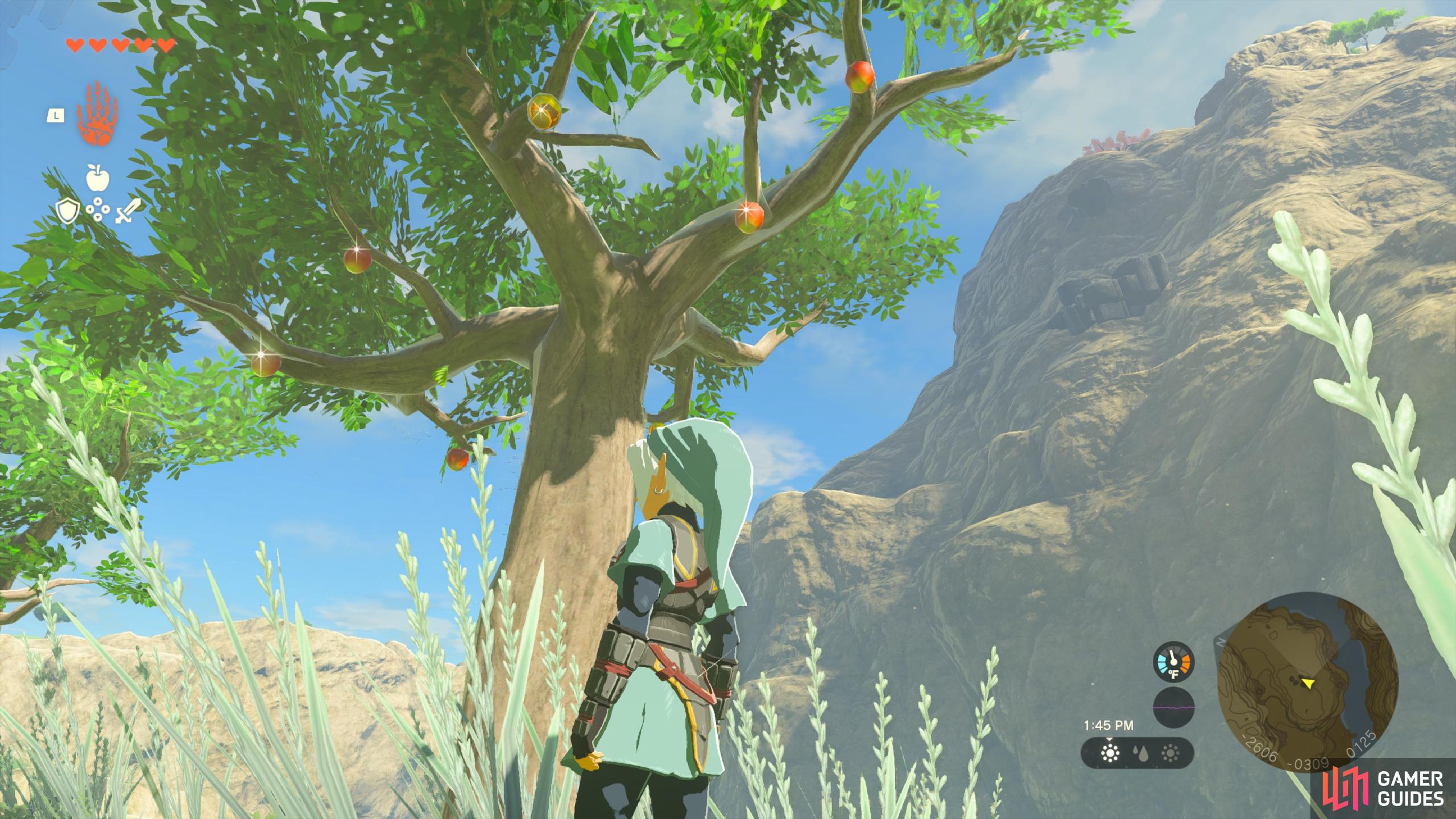 Zelda: Tears of the Kingdom Golden Apple Recipe List - GameRevolution