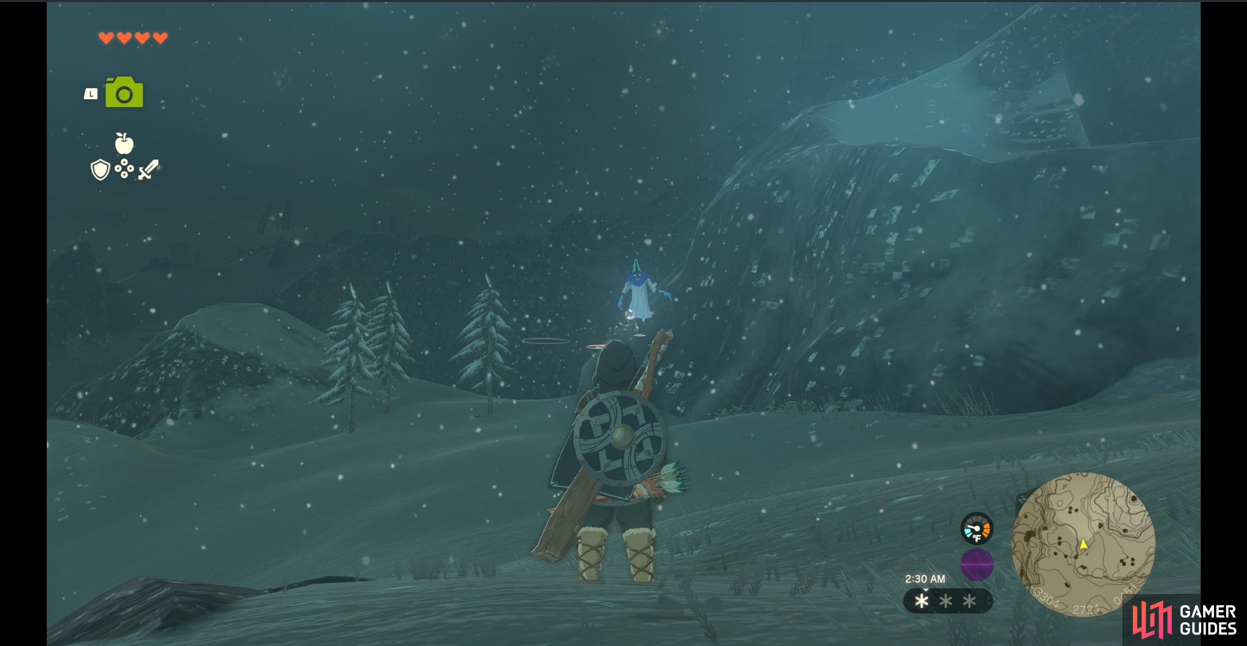 Ice Wizzrobe The Legend of Zelda Tears of the Kingdom Database Gamer Guides®