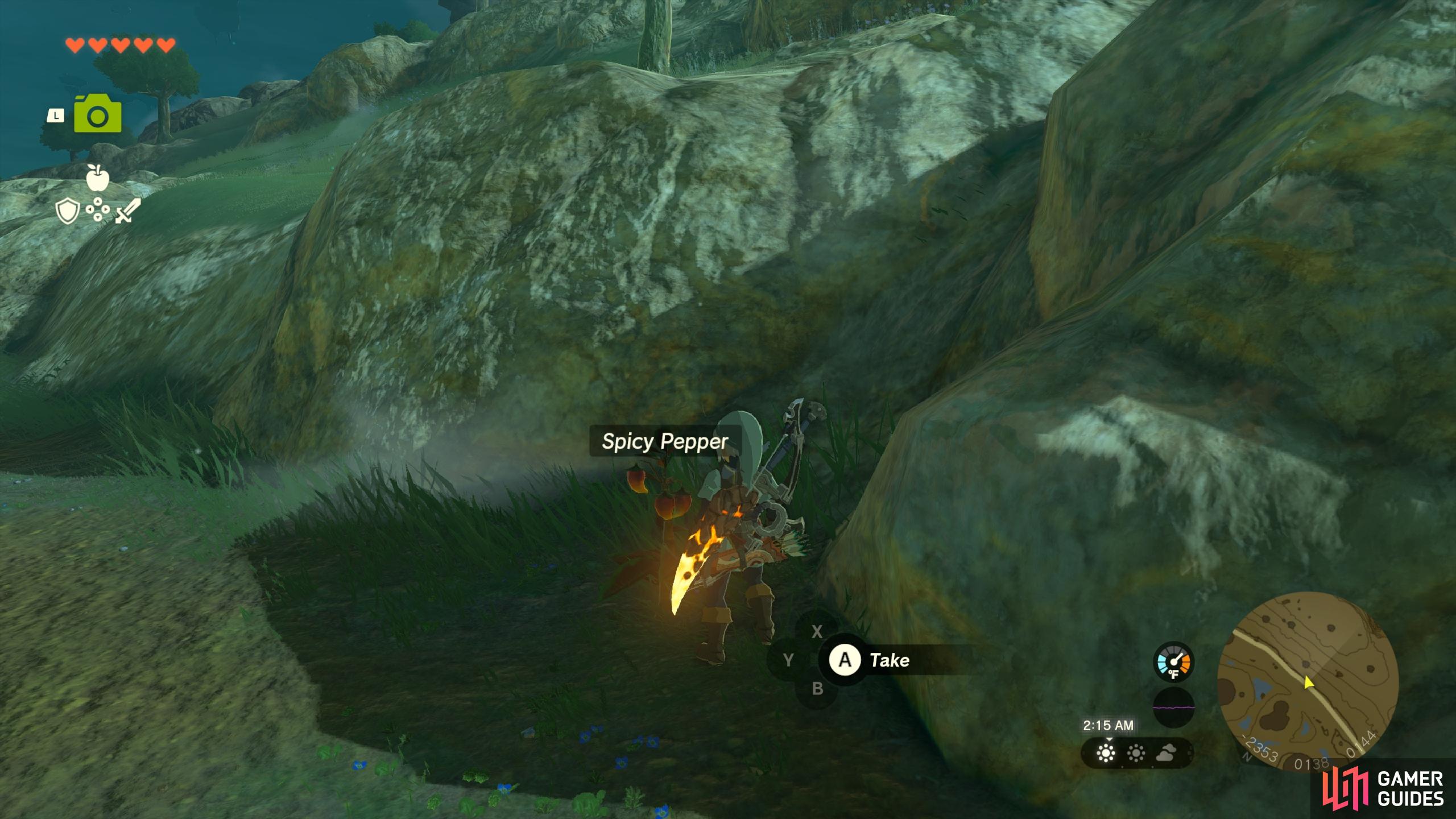 Spicy Pepper The Legend of Zelda Tears of the Kingdom Database