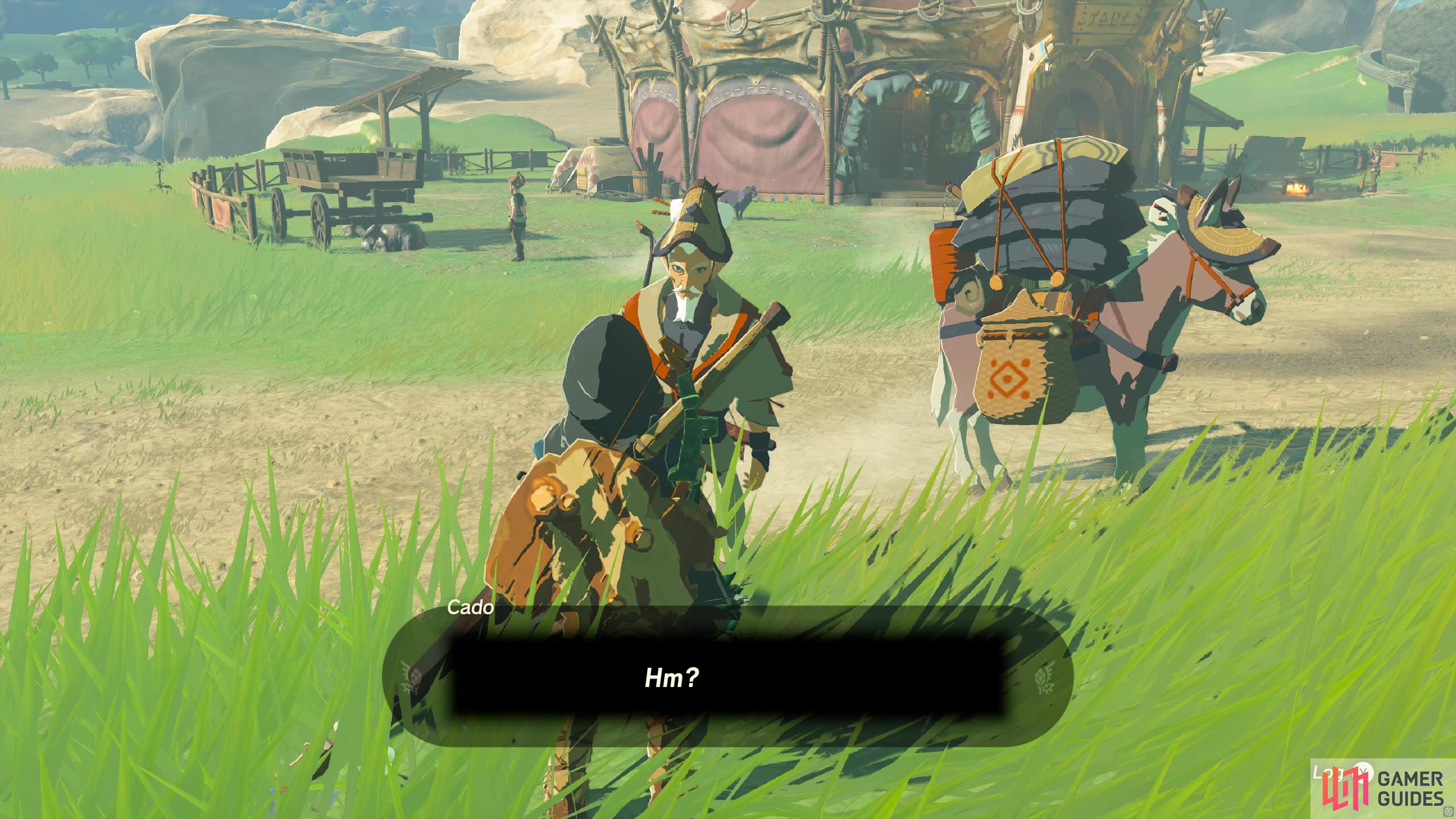 Impa And The Geoglyphs Quest 33