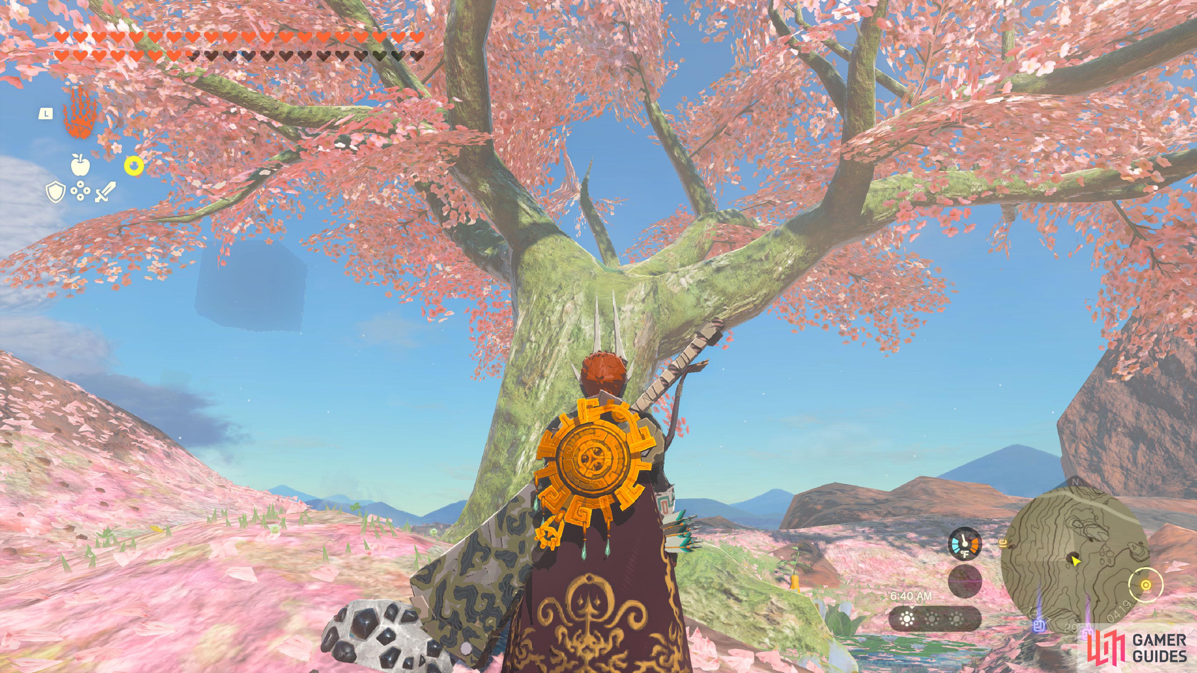 Tears Of The Kingdom Satori Cherry Blossom Cherry Blossom Tree - The Legend of Zelda: Tears of the Kingdom