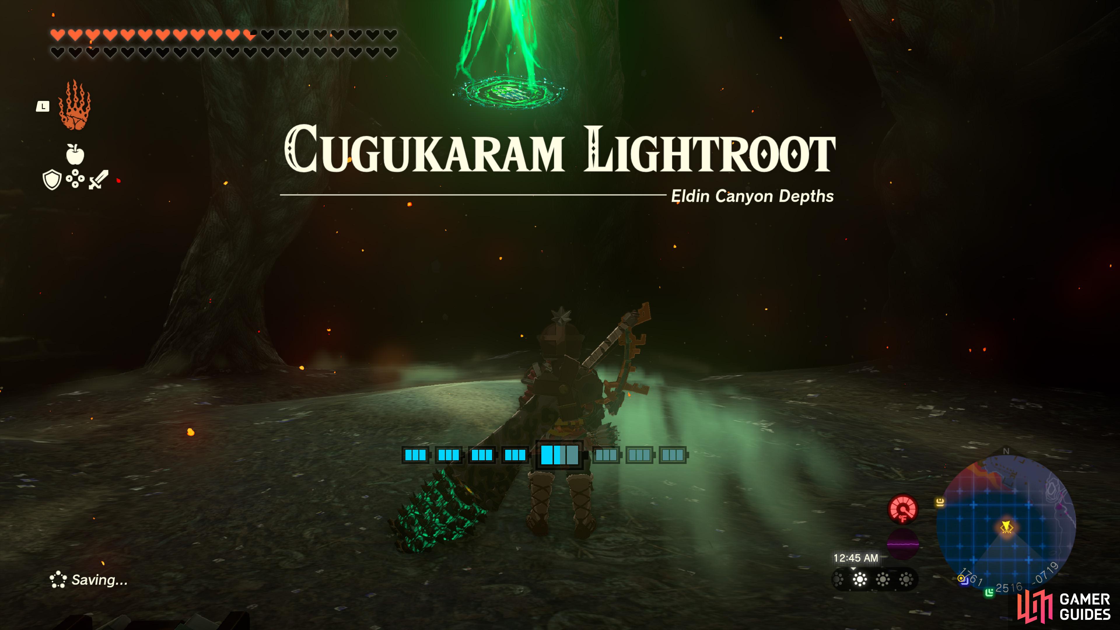 12+ Cugukaram Light Root