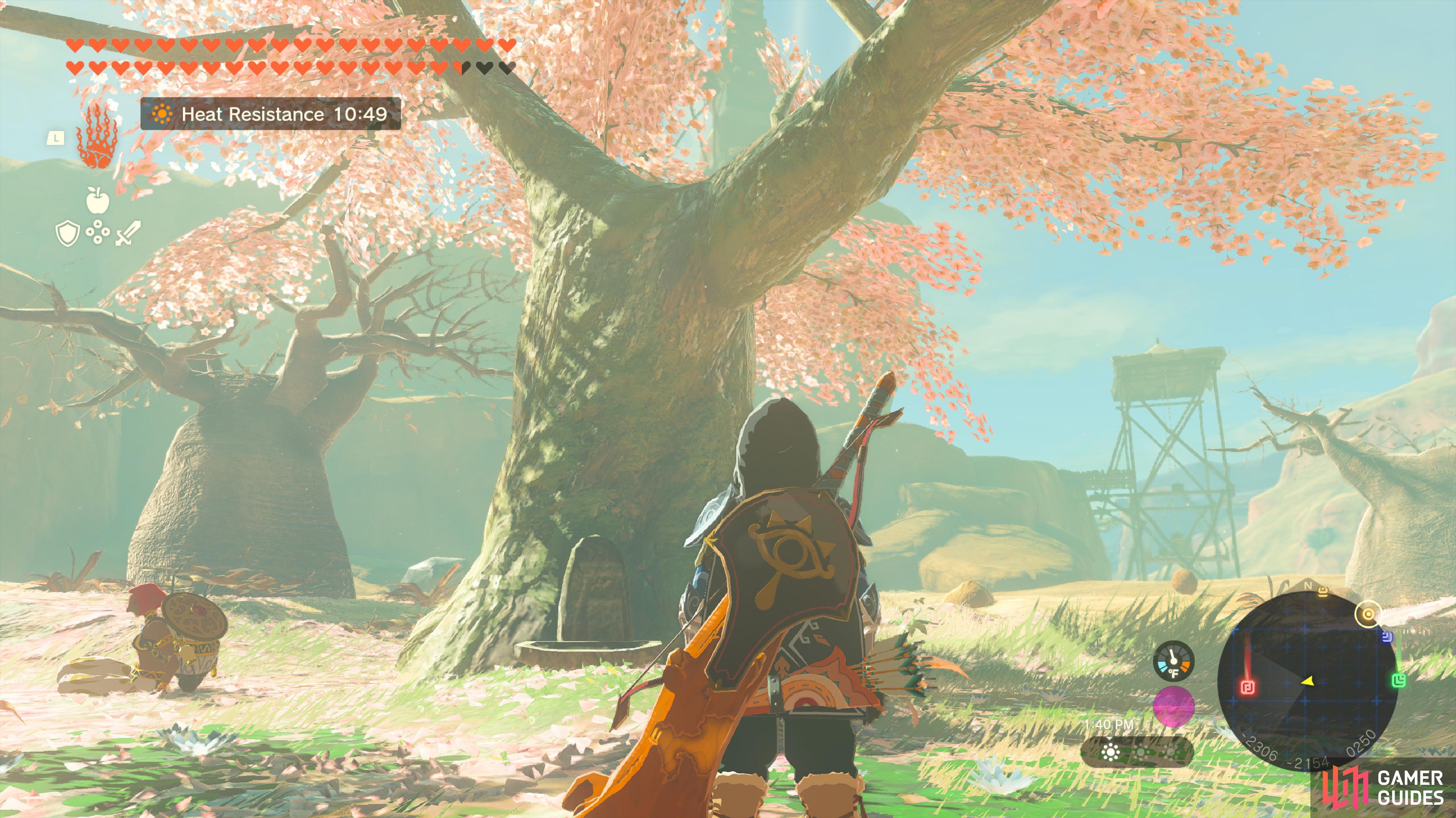 Tears Of The Kingdom Satori Cherry Blossom Cherry Blossom Tree - The Legend of Zelda: Tears of the Kingdom