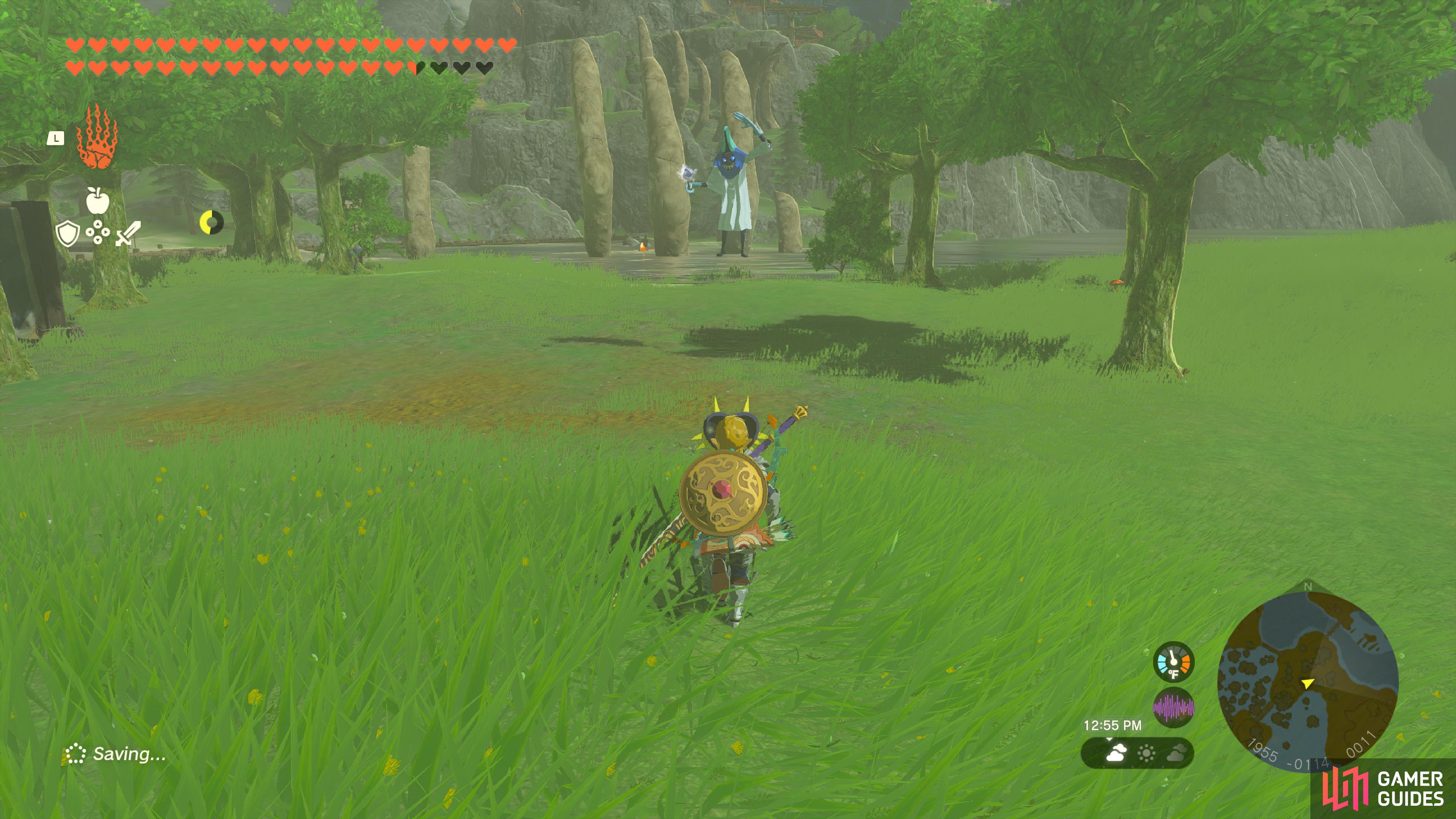 Wizzrobe Botw