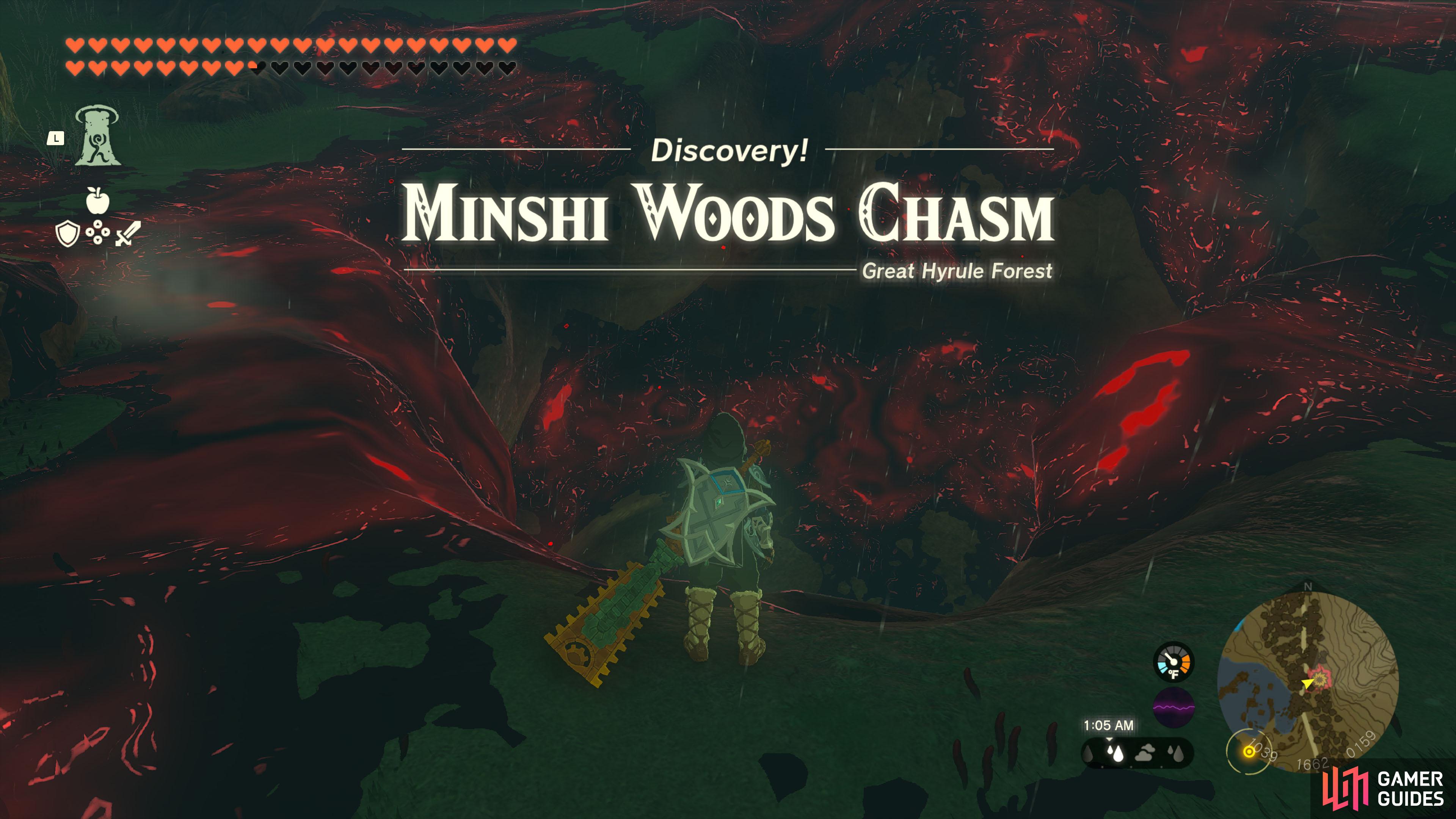 Minshi Woods Chasm - The Legend of Zelda: Tears of the Kingdom Database ...