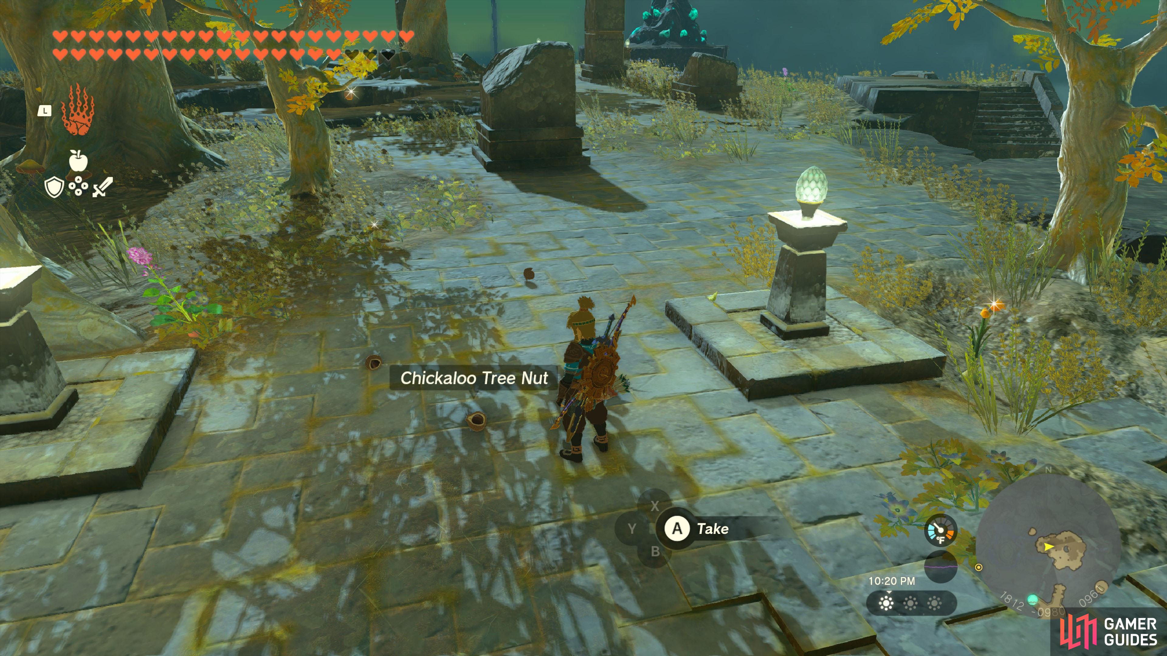 Chickaloo - The Legend of Zelda: Tears of the Kingdom Database
