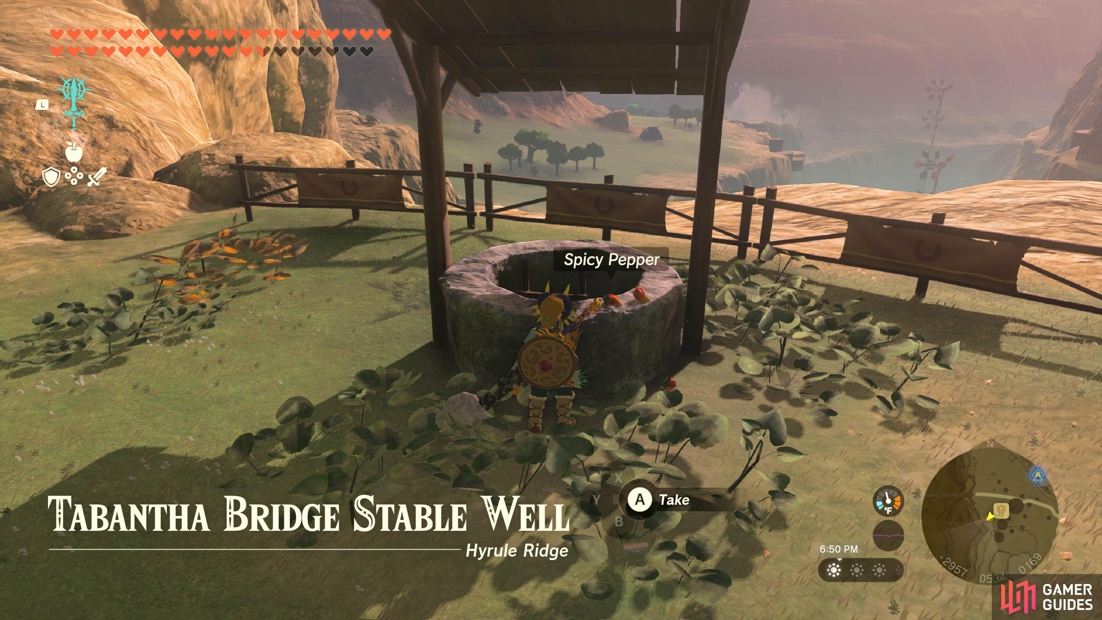 Tabantha Bridge Stable Well - The Legend of Zelda: Tears of the Kingdom ...