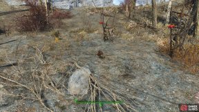Marker screenshot