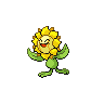 "Sunflora" Icon