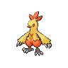 "Combusken" Icon