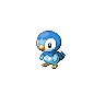 "Piplup" Icon
