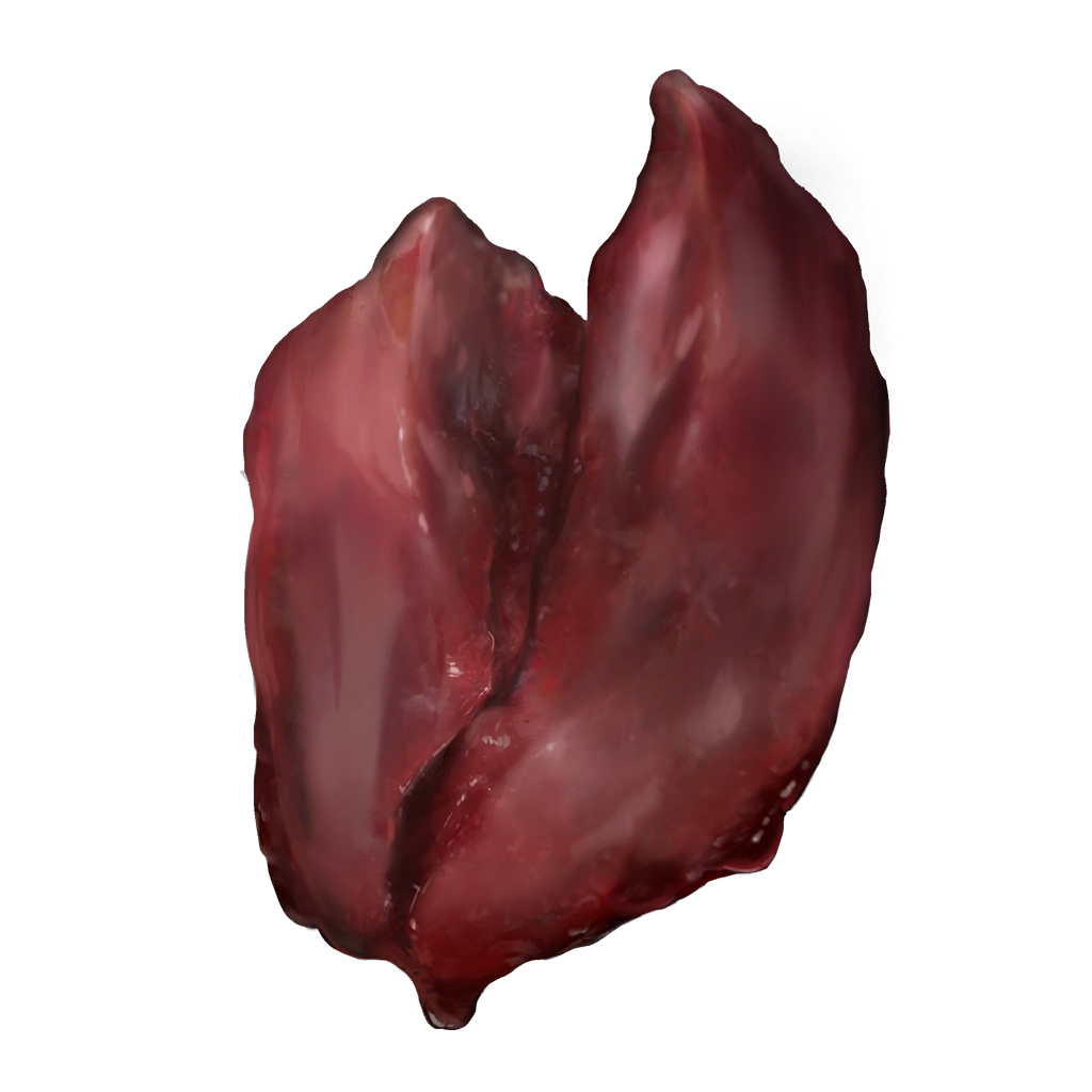 Beast Liver Elden Ring Crafting Materials Items Gamer Guides®