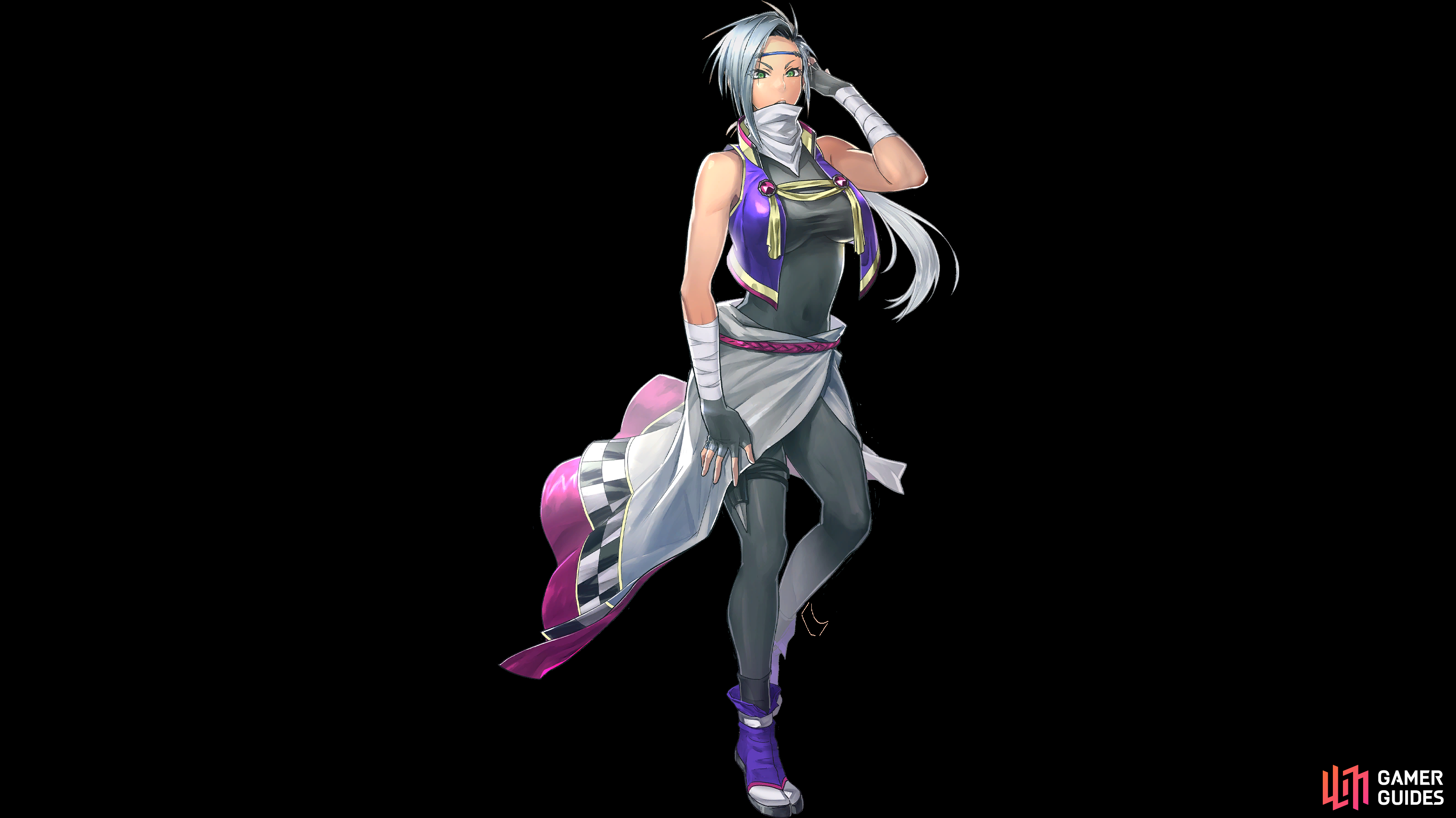 Hakugin Eiyuden Chronicle Hundred Heroes Database Gamer Guides 