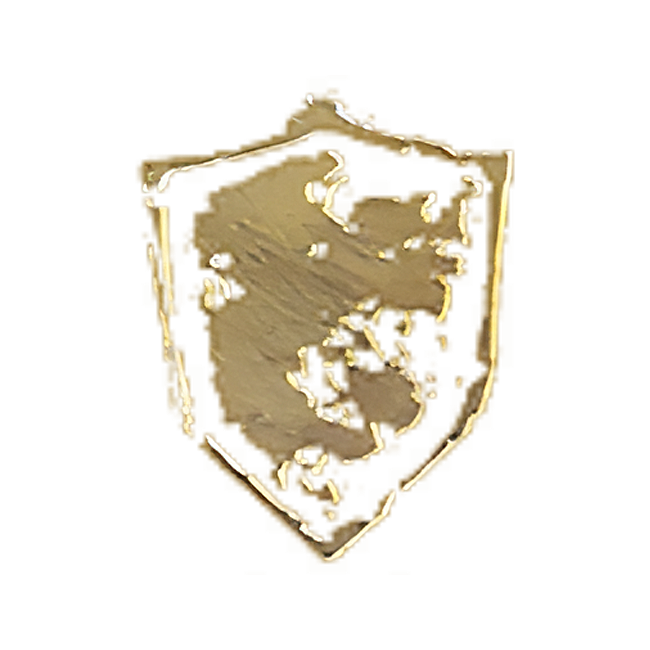 Map category icon