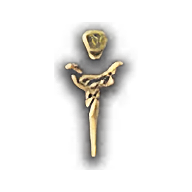 Map category icon