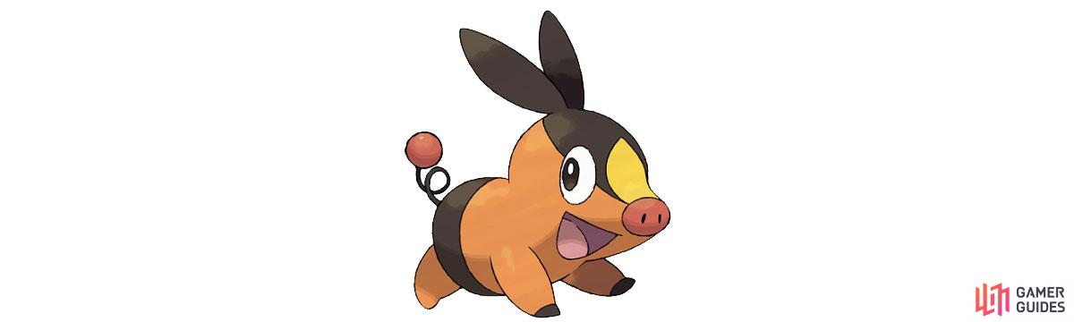 Tepig is a fire type.