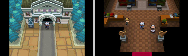 Pokémon Black & White - Gyms