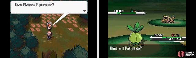 Another Grunt stands before you. The Sandile is the tougher Pokemon here but shouldn't be much of an issue.
