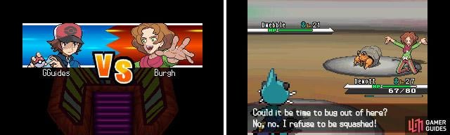 Burgh uses a variety of Bug type Pokémon.
