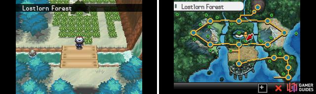 Pokémon Black 2 & White 2 vs. Pokémon HeartGold & SoulSilver: Full  Comparison - Cheat Code Central