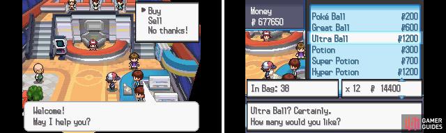 Pokemon Black 2 Cheats, Hints, Tips, Walkthrough & More by Video Game  Guides