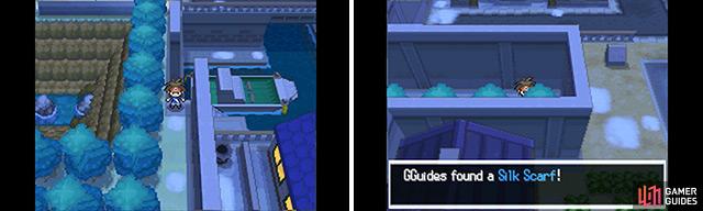 Virbank City Gym - Pokemon Black 2 and White 2 Guide - IGN