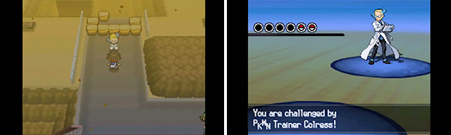 Route 16 - To Gym 4 - Main Walkthrough, Pokémon: Black & White 2