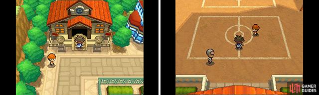 Route 2 - Gym 1 - Story Walkthrough, Pokémon: Black and White