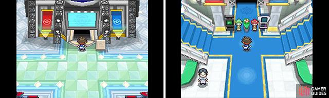 Route 2 - Gym 1 - Story Walkthrough, Pokémon: Black and White
