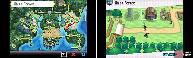 Pokémon Black & White - Version Changes - Black City & White Forest