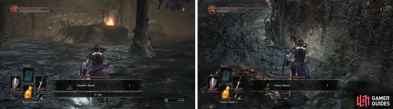 Check the swamp for a Titanite Shard and don't miss the Estus Shard nearby.