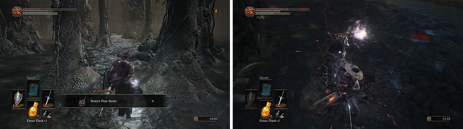 Collect the items as you pass through the woods (left) and on the other side you'll encounter a Darkwraith (right).