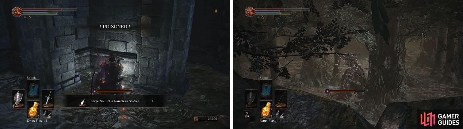 Collect the soul at the base of the stairs (left) and then head back up and use ranged attacks on the Elder Ghru in the swamp below (right).